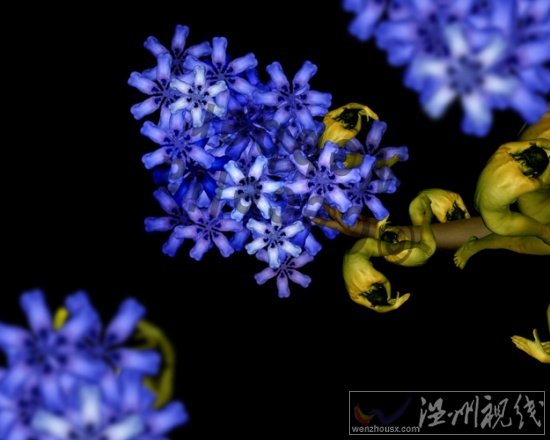 人體藝術攝影作品欣賞