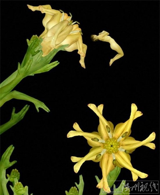 人體藝術攝影作品欣賞