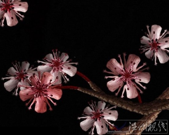 人體藝術攝影作品欣賞