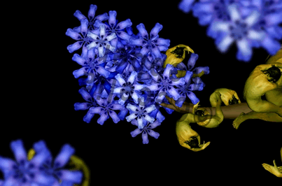 國外頂級人體藝術攝影作