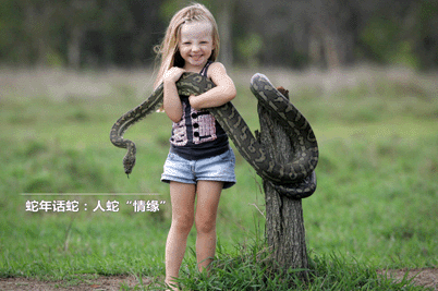 蛇年說蛇 今年是蛇年收集一些蛇的圖片