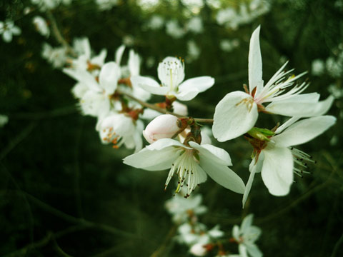 西安7日氣溫創(chuàng)50年來(lái)同期最高 8日晚大風(fēng)降溫沙塵并至