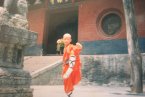 王寶強(qiáng)昔日少林寺習(xí)武照 王寶強(qiáng)年輕時(shí)在少林寺勤奮