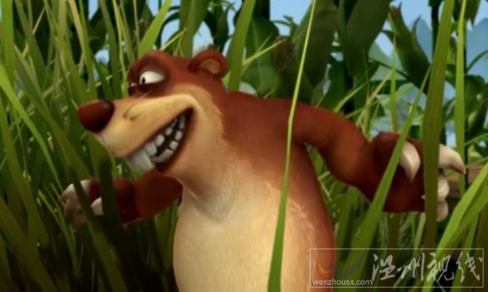 笨熊玉米地保護戰