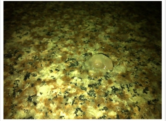 溫州下冰雹了 24日凌晨溫州平陽雷電交加下起了冰雹