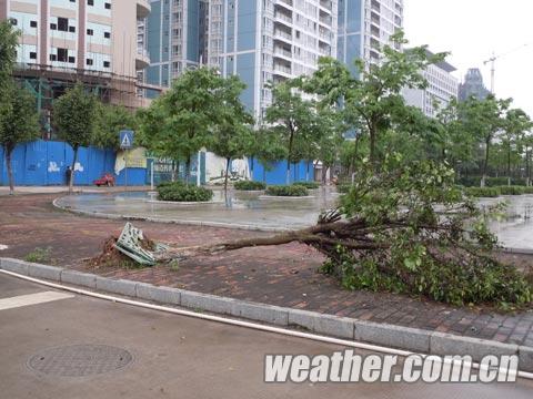 3日冰雹雷雨大風席卷玉林市 車棚被大風掀翻天空烏云蔽日