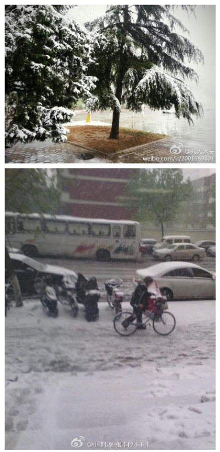 石家莊下大雪照片