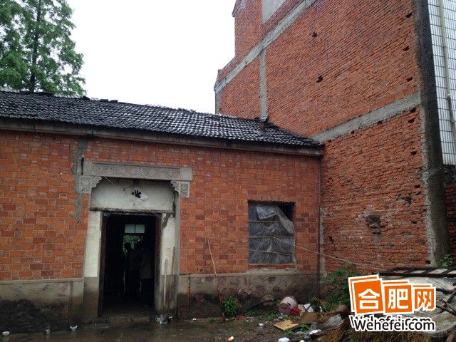 安徽女孩袁利亞名字袁麗亞