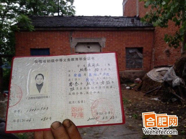 安徽女孩袁利亞名字袁麗亞