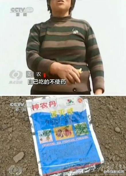 山東濰坊毒姜事件讓生姜很受傷