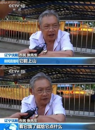 央視采訪保護藏羚羊遭遇神回復