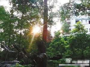 重慶驚現兩個太陽