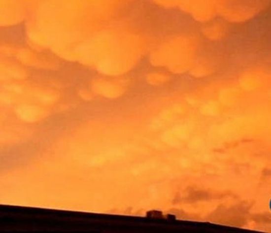 罕見橙色乳房云