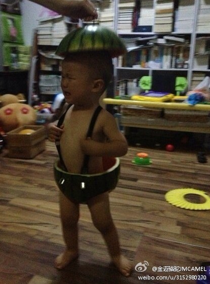 用西瓜皮DIY的西瓜裝