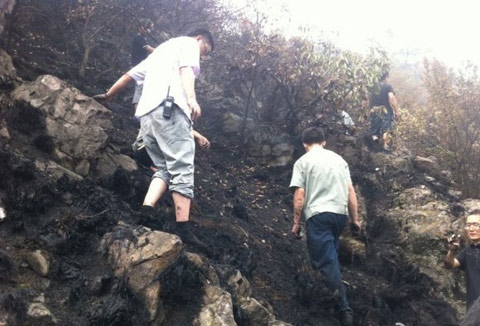 杭州西湖景區火災 1日中午西湖景區森林遭雷擊起火