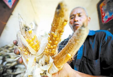 湖北持續(xù)高溫少雨旱情加劇 立秋最高溫達(dá)42.2℃