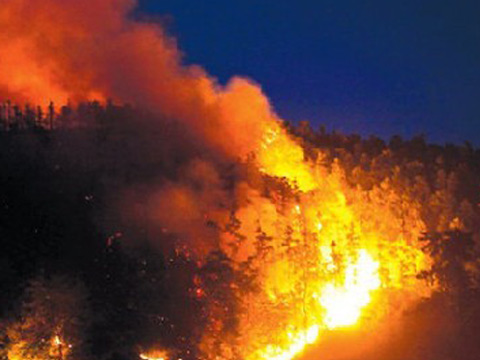 湘潭火災(zāi) 8月8日湘潭昭山易家灣鎮(zhèn)發(fā)生森林火災(zāi)