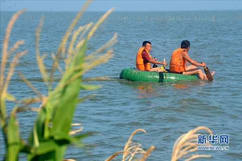 吉林東部暴雨 部分流域水位超限防汛壓力大增