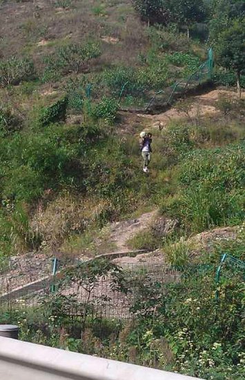 司機堵車無聊偷冬瓜