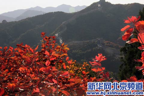 紅得讓你陶醉 秋季最靠譜賞紅地推薦