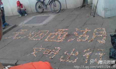 景區不文明現象之西湖煙蒂