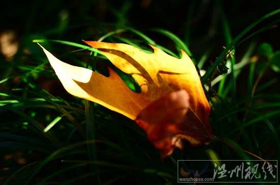 2013上海入秋時間