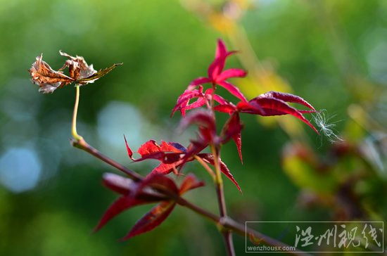 2013上海入秋時間