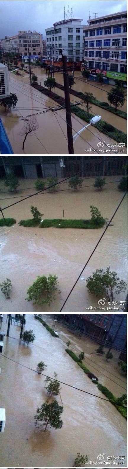 臺風菲特已走 溫州平陽積水圖片