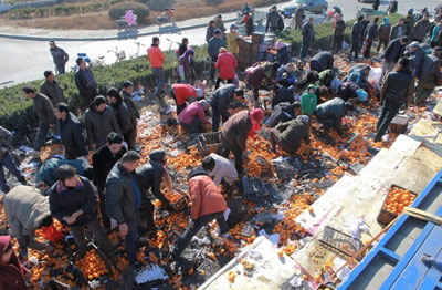 唐山哄搶桔子 2013年11月29日唐山一輛貨車側翻35噸桔