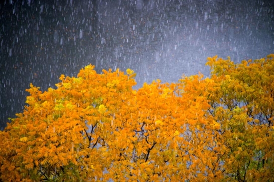 2013年冬天杭州第一場雪