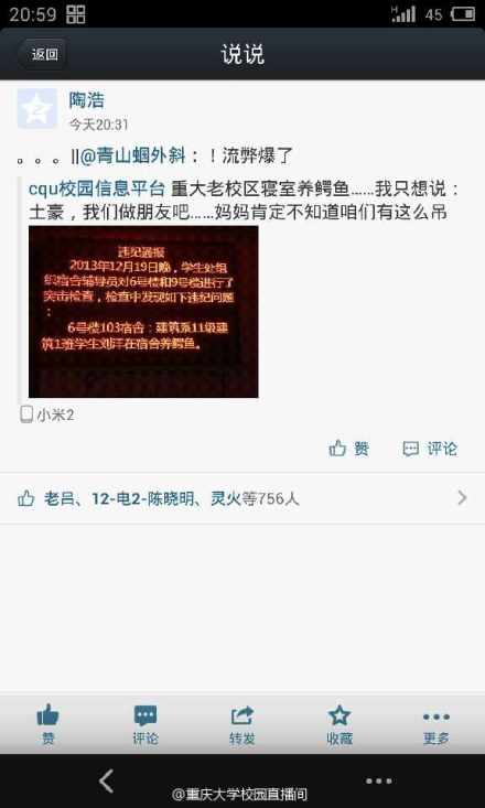 宿舍養(yǎng)鱷魚