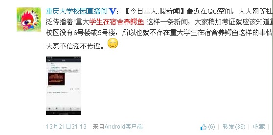 宿舍養(yǎng)鱷魚