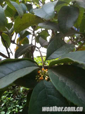 合肥最高溫超20℃ 鳥語花香“春意盎然”