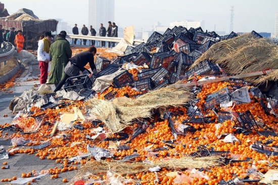 蘭州村民哄搶桔子