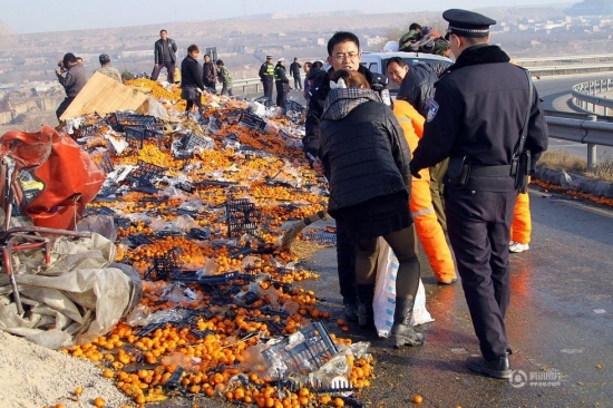 蘭州村民哄搶桔子