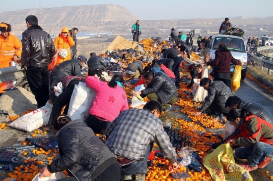 蘭州村民哄搶桔子