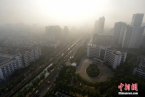 海南大霧天氣 2014年1月7日至8日海南多地發(fā)布大霧黃