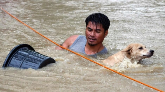 2014年第1號(hào)臺(tái)風(fēng)玲玲造成菲律賓死傷百多人