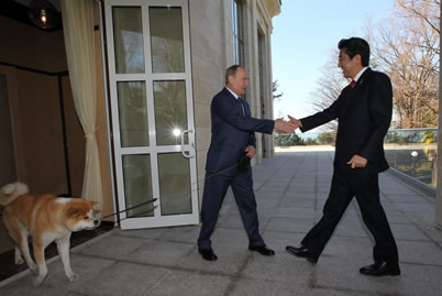 冬奧會普京會見安倍 有趣的是普京牽狗會見安倍晉三