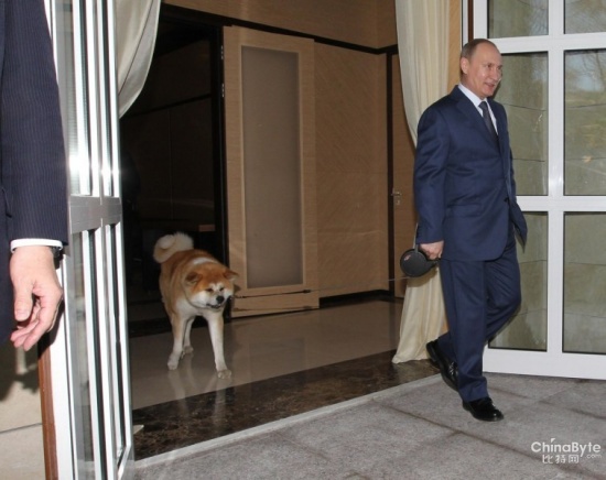 普京牽狗會見安倍