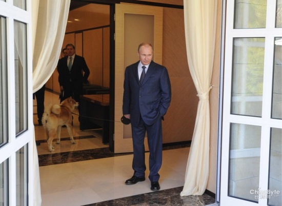 普京牽狗會見安倍