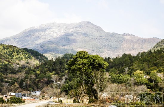 溫州下雪了永嘉天氣預報說下雨