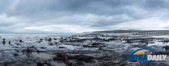 英國遭遇強風暴，大風出土5000年前的森林遺址。