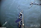韓國原油泄漏事故最新消息 韓國碼頭油輪原油泄露