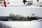 杭州下雪了嗎 2月9日杭州城區(qū)下起2014年第一場雪