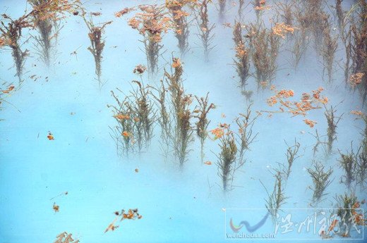 河道被染成藍(lán)色