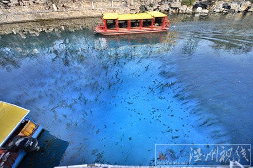 濟(jì)南護(hù)城河污水泄露