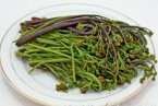 俗稱拳頭菜的蕨菜會致癌 科學家證明蕨菜含多種致癌