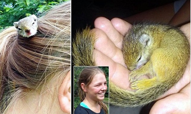 女孩頭發(fā)里住著一只小松鼠