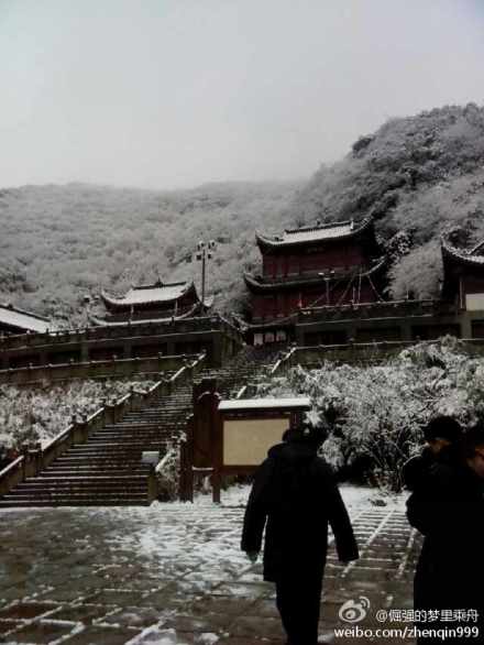 重慶三月飛雪照片 重慶下起了春雪
